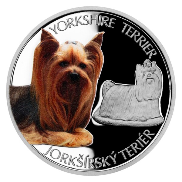 DOG BREEDS - YORKSHIRE TERRIER 2021 Niue 1oz proof silver coin