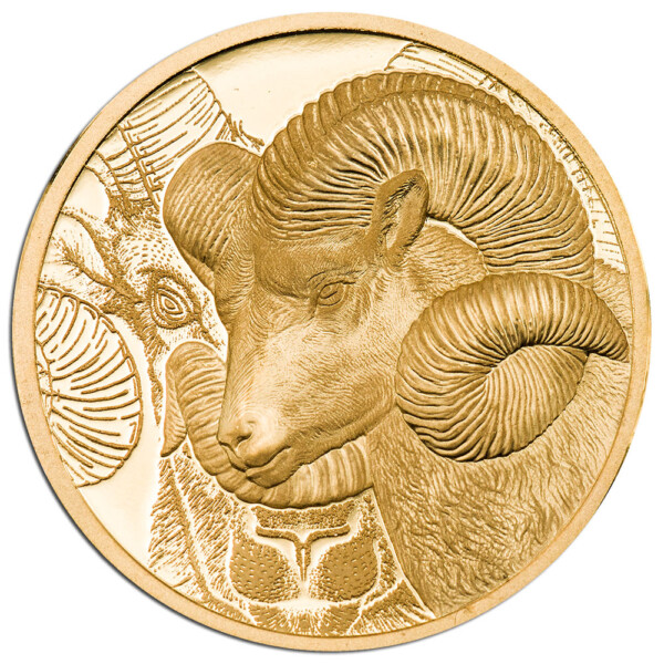 MAGNIFICENT ARGALI 2022 Mongolia 1/10th oz proof gold coin